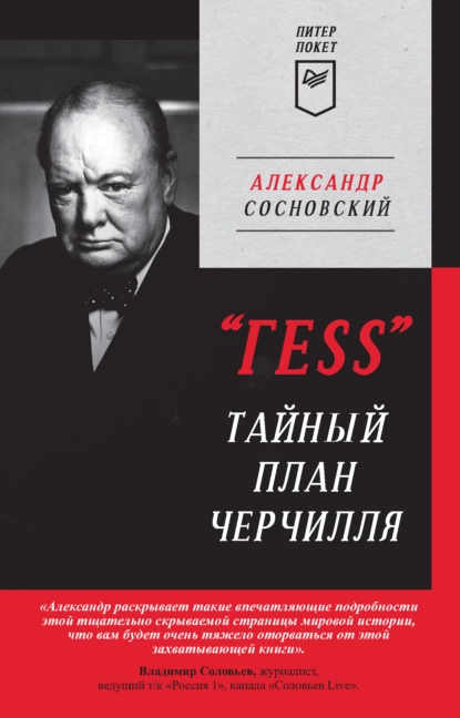 Александр Сосновский - «ГESS». Тайный план Черчилля